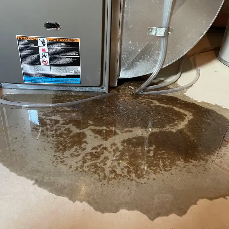 Appliance Leak Cleanup in Ellsworth, WI