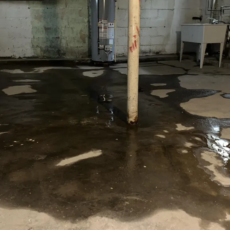 Emergency Water Extraction And Removal in Ellsworth, WI